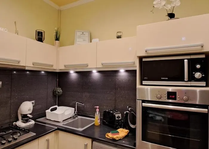 Szandi Belvarosi Apartament *
