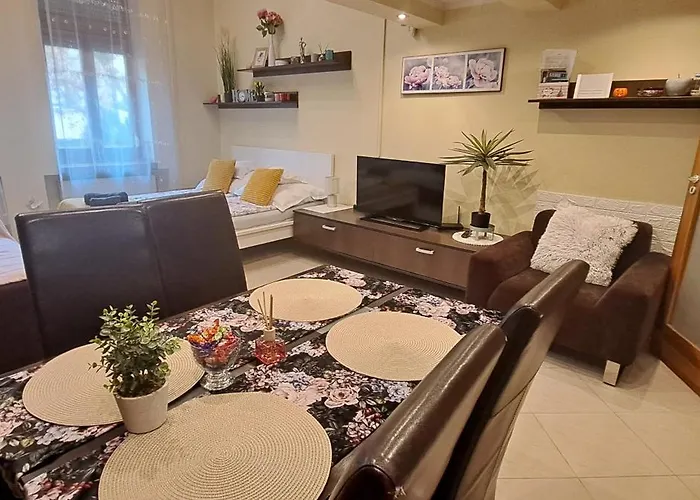Szandi Belvarosi Apartment Szegedin