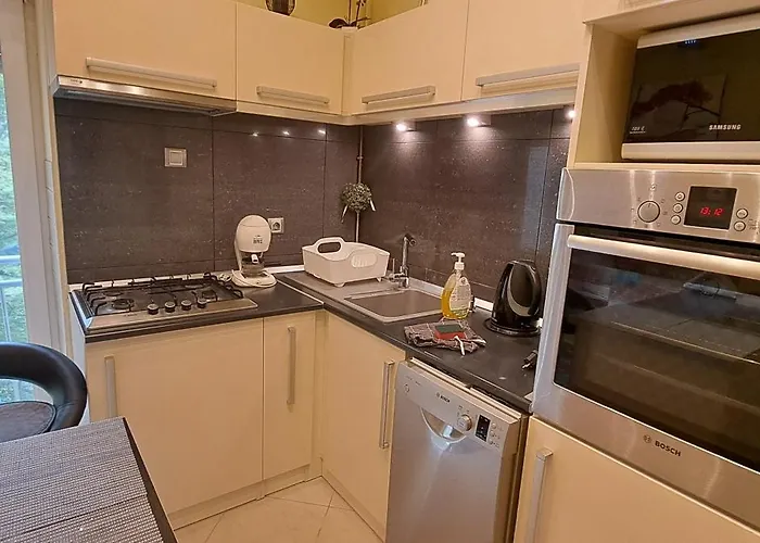 Szandi Belvarosi Apartment Szegedin
